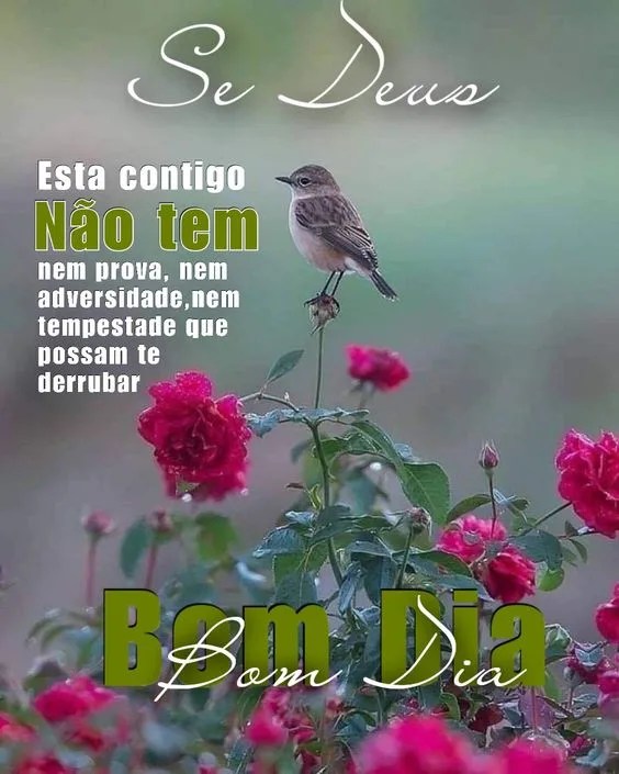 Bom dia Deus está contigo