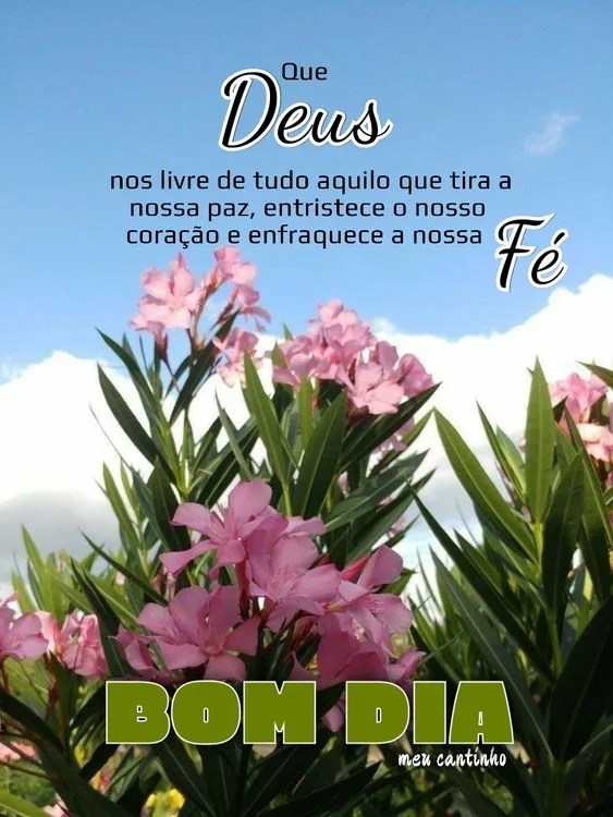 Bom dia com flores do campo