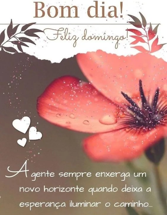 Feliz domingo a esperança