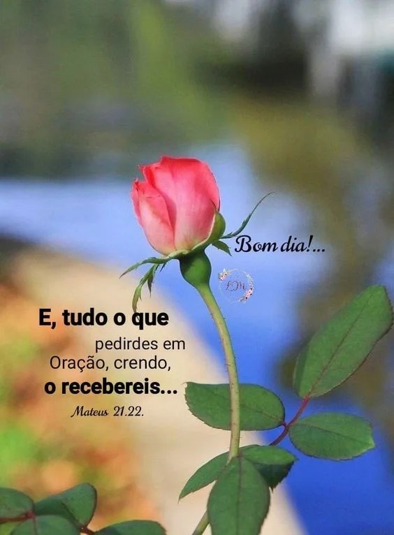 Bom dia Bíblico com rosa