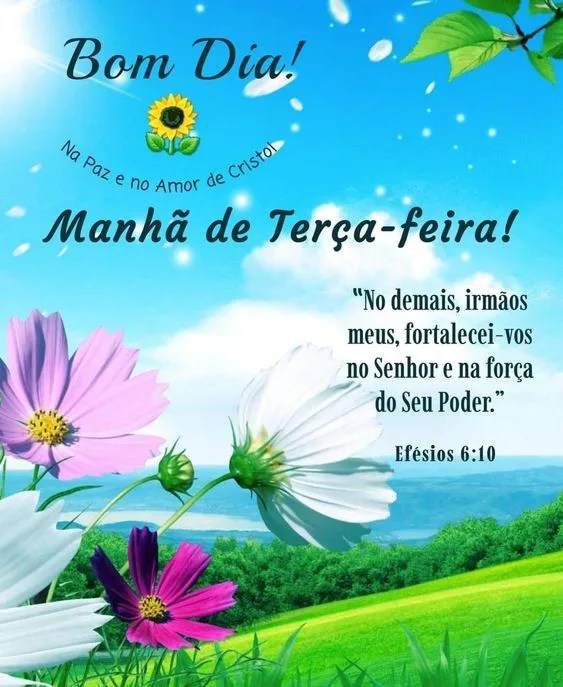Bom dia manhã de Terça-feira