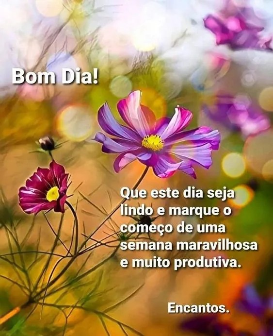 Bom dia seja lindo