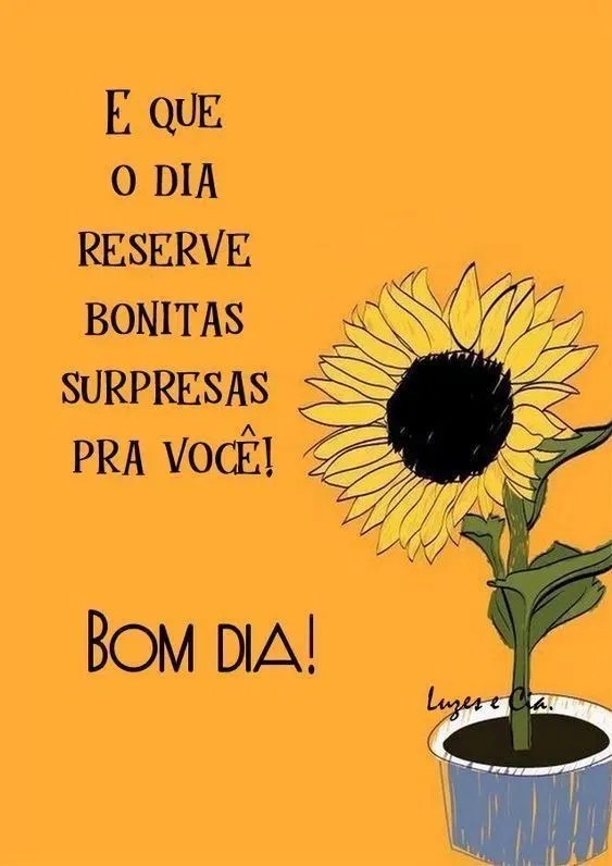 Bom dia de bonitas surpresas