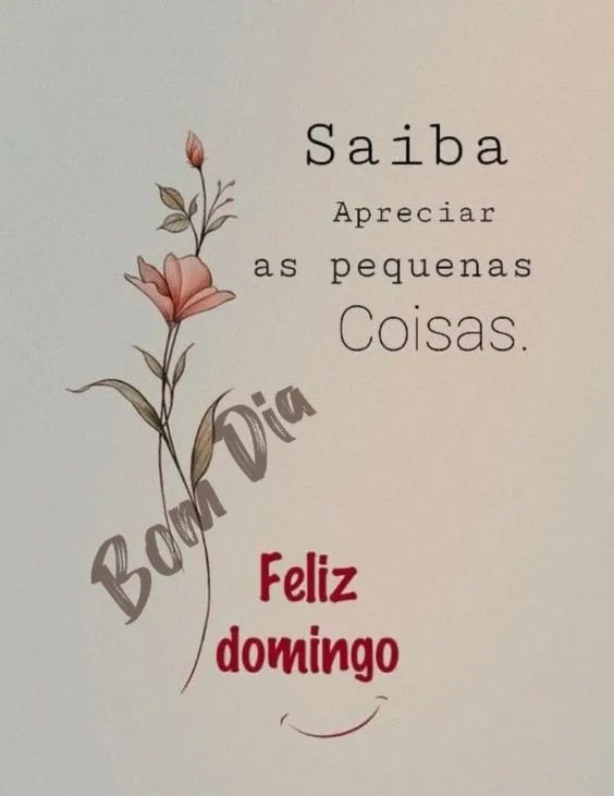 Domingo de apreciar pequenas coisas