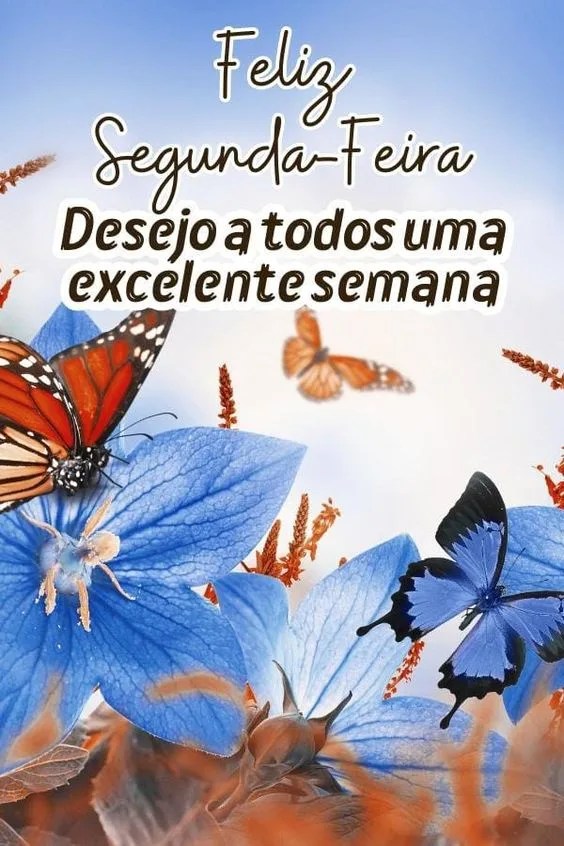 Desejo a todos feliz segunda-feira