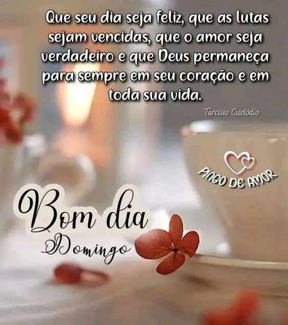 Bom dia domingo feliz