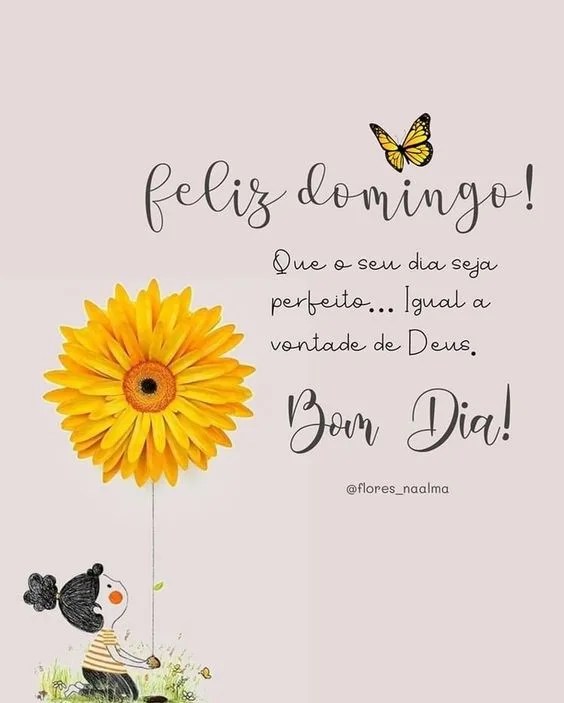 Domingo seja perfeito