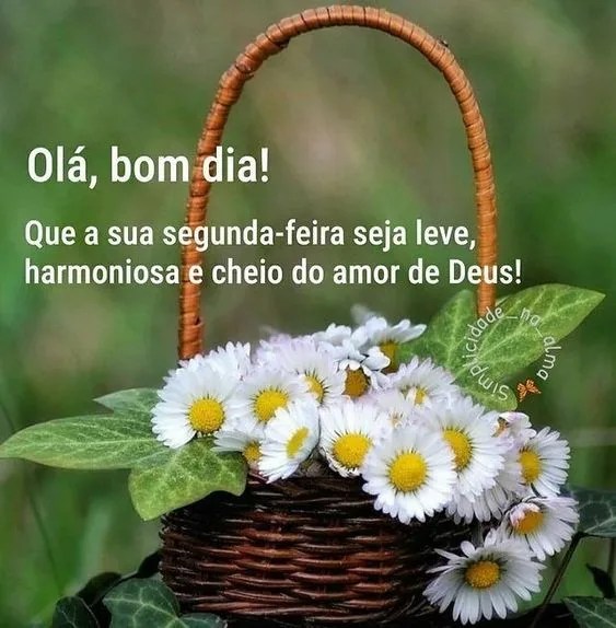 Segunda-feira seja leve