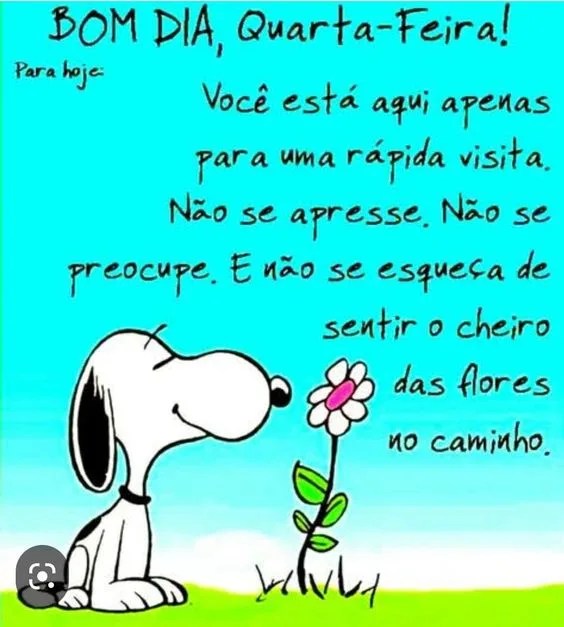 Bom dia quarta-feira Snoopy