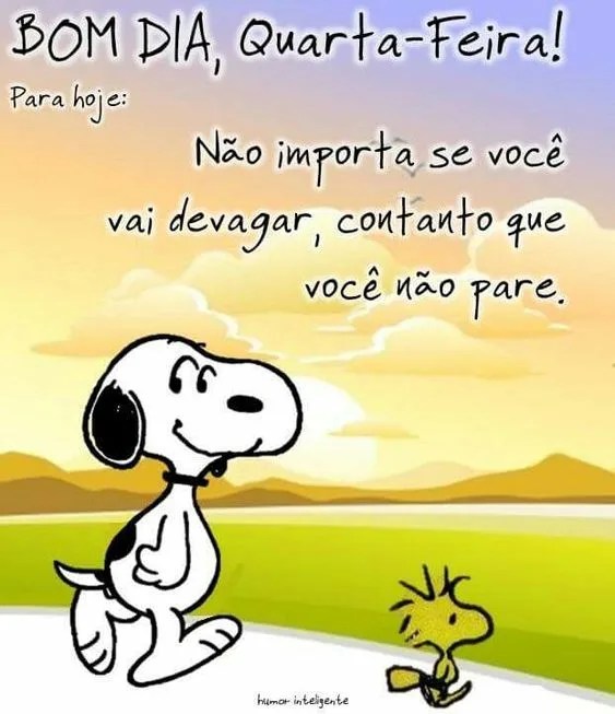 Para hoje quarta-feira