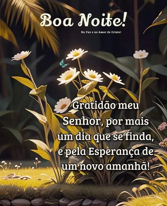 Boa noite gratidão meu Senhor
