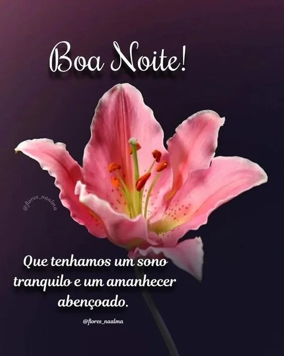 Que tenhamos sono tranquilo