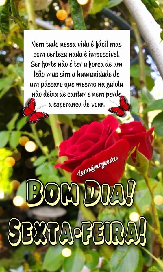 Reflexão de Sexta-feira