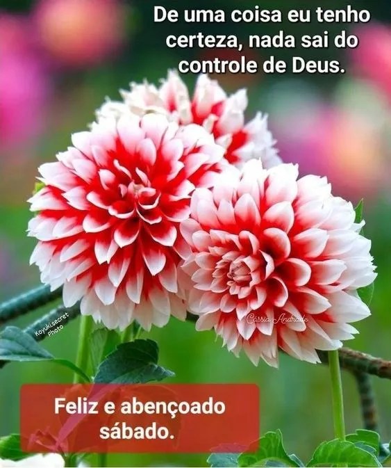 Feliz e abençoado Sábado