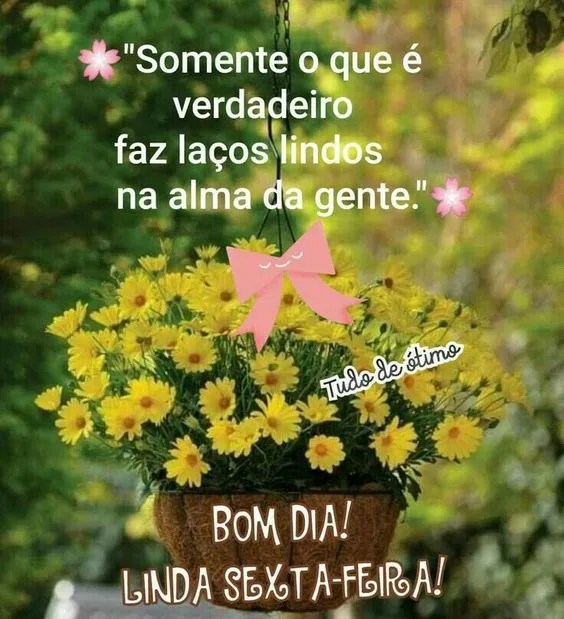 Bom dia linda sexta