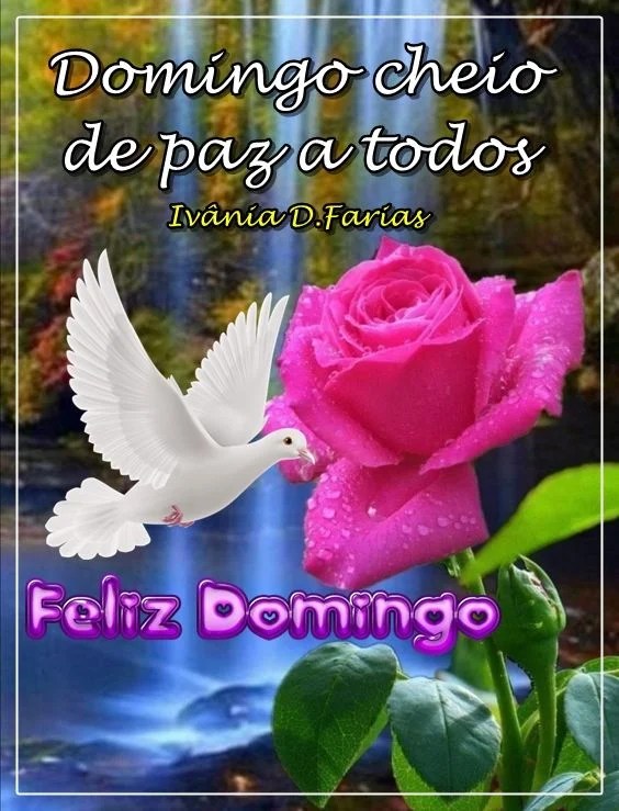 Domingo cheio de paz