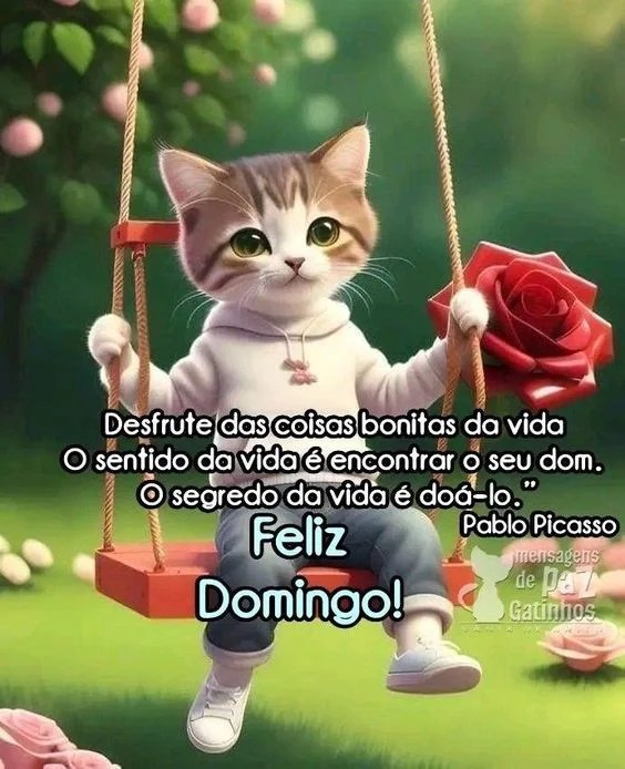 Feliz domingo de coisas bonitas
