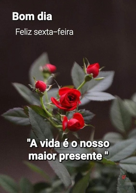 Bom dia feliz sexta