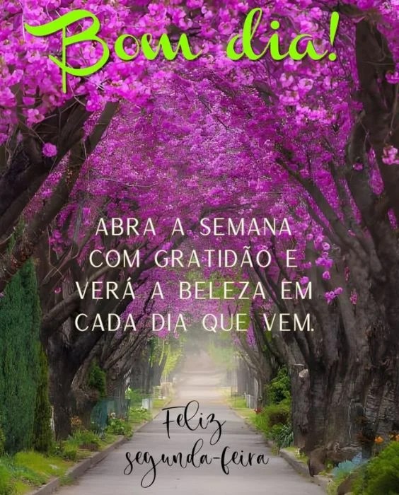 Abra a semana com gratidão