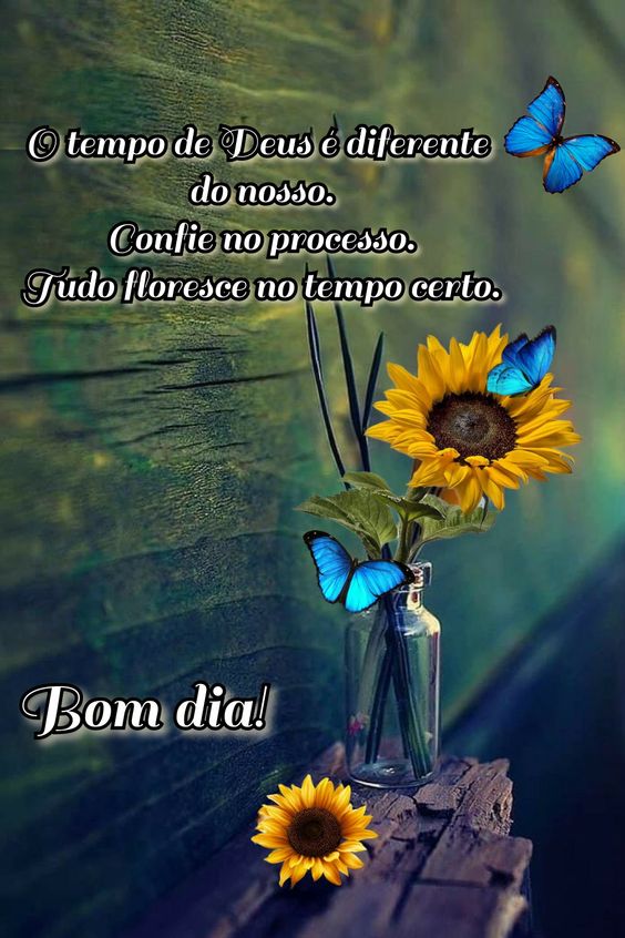 Bom dia no tempo de Deus