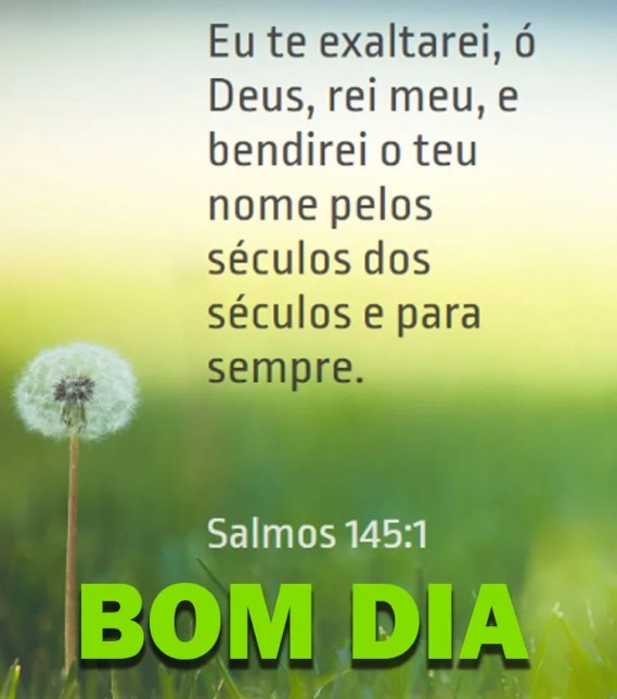 » 30 Imagens de Bom dia com Frases Bíblicas cheias de Fé